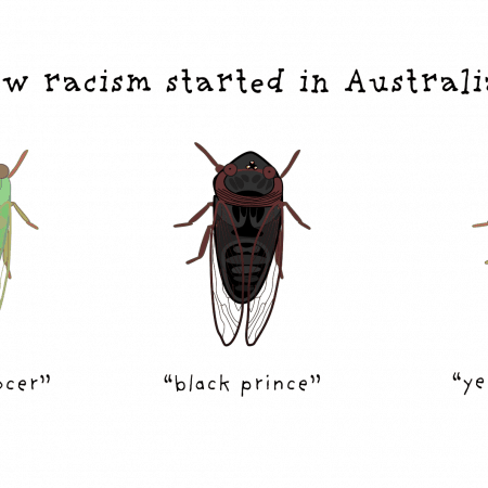 how racism started in Australia
