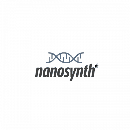nansynth logo design