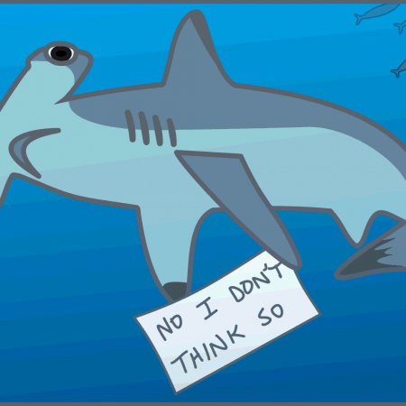 hammerhead shark cartoon illustration