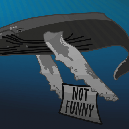 humpback whale cartoon illustration