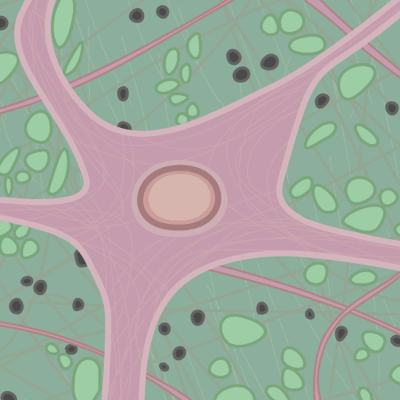 nueron micrograph illustration