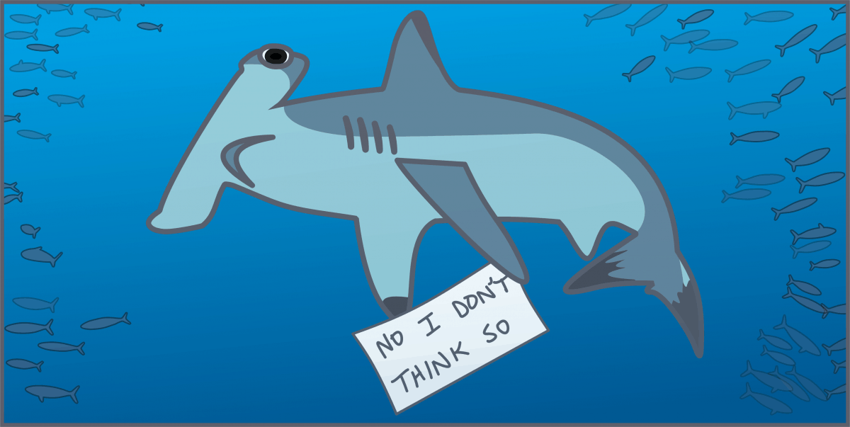 hammerhead shark revenge