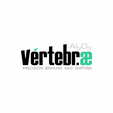 vertebrae logo design
