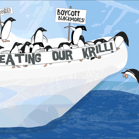 sea shepherd operation krill campaign penguins on strike rough thumnail comp sketch