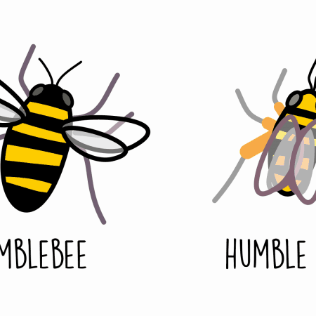 bumblebee humble bee