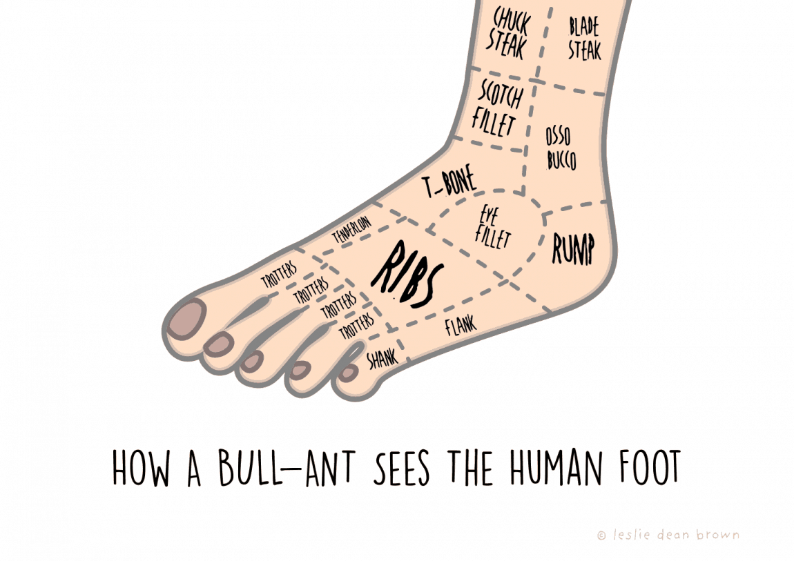 how a bullant sees the human foot