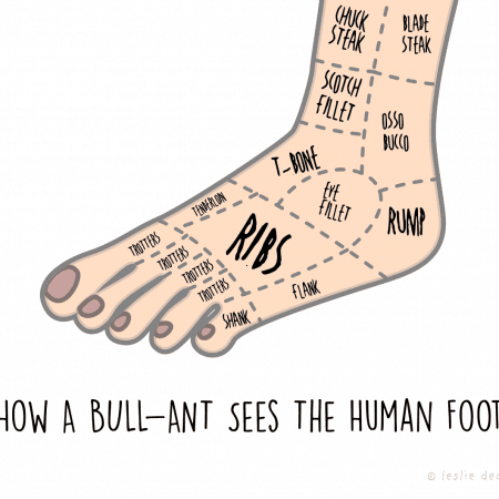 how a bullant sees the human foot