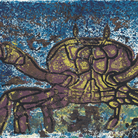 mud crab illustration